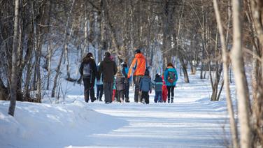 Image for: MONTEE PRERON